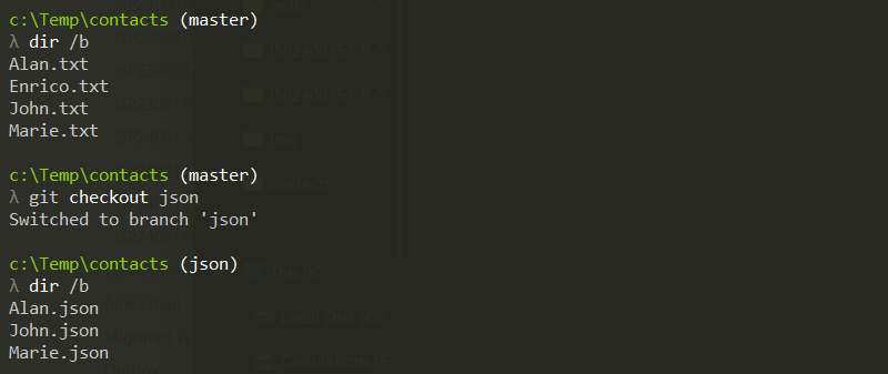 git-branch-11--checkout-json